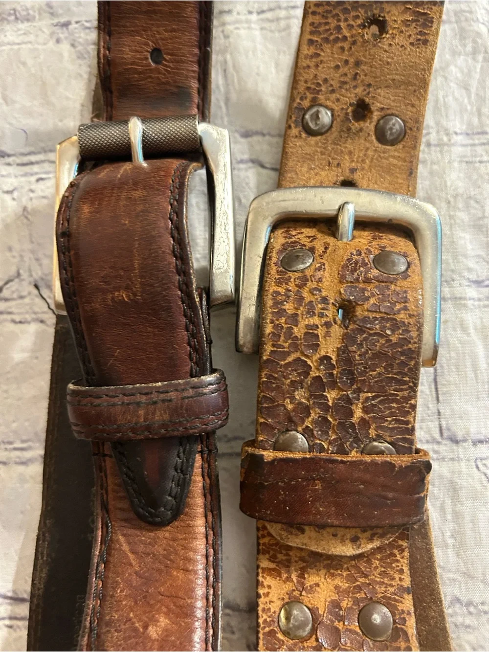 AMERICAN EAGLE & BISON american eagle